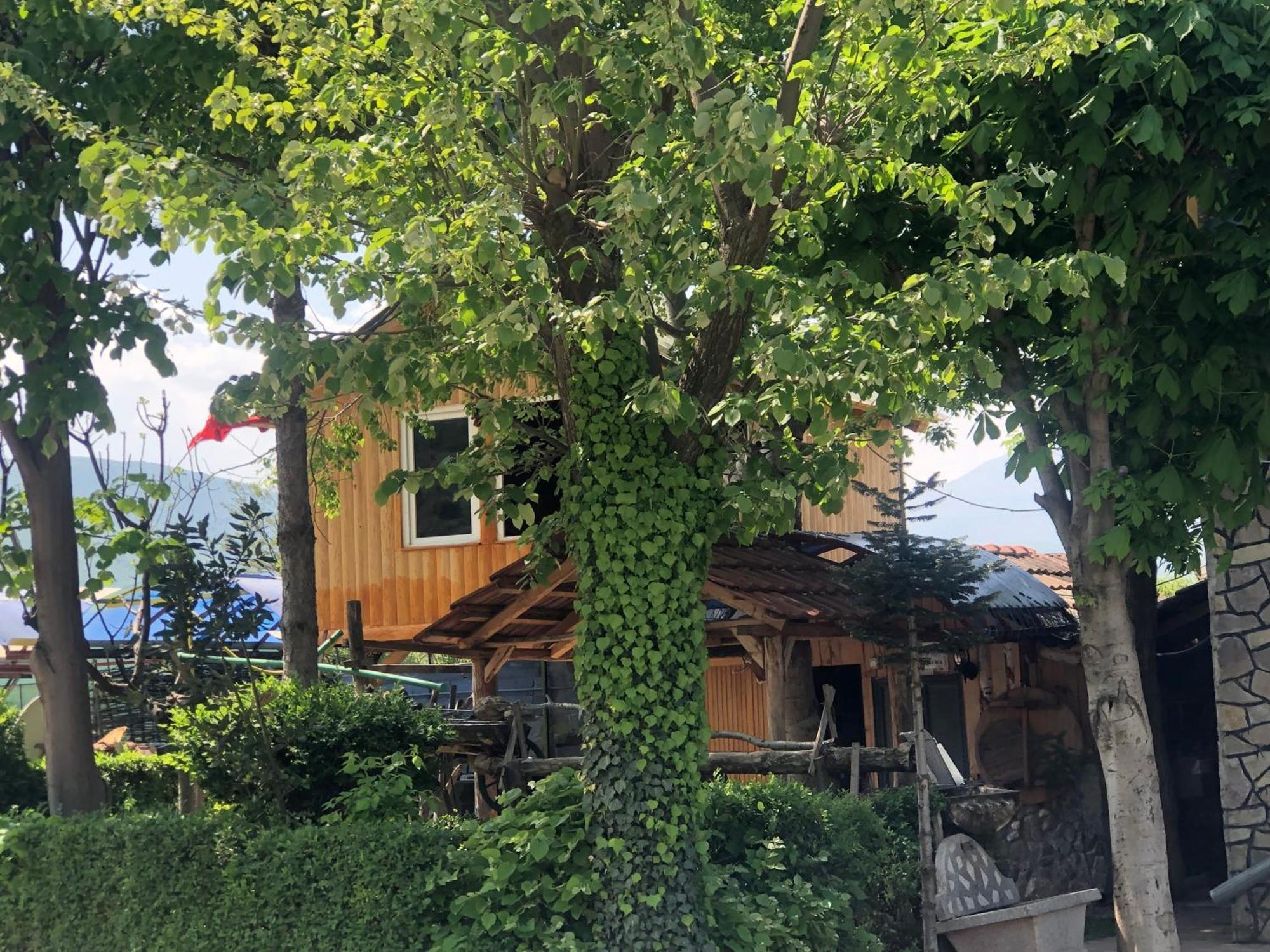 Bujtina Gashi Guest House Kukes Екстер'єр фото