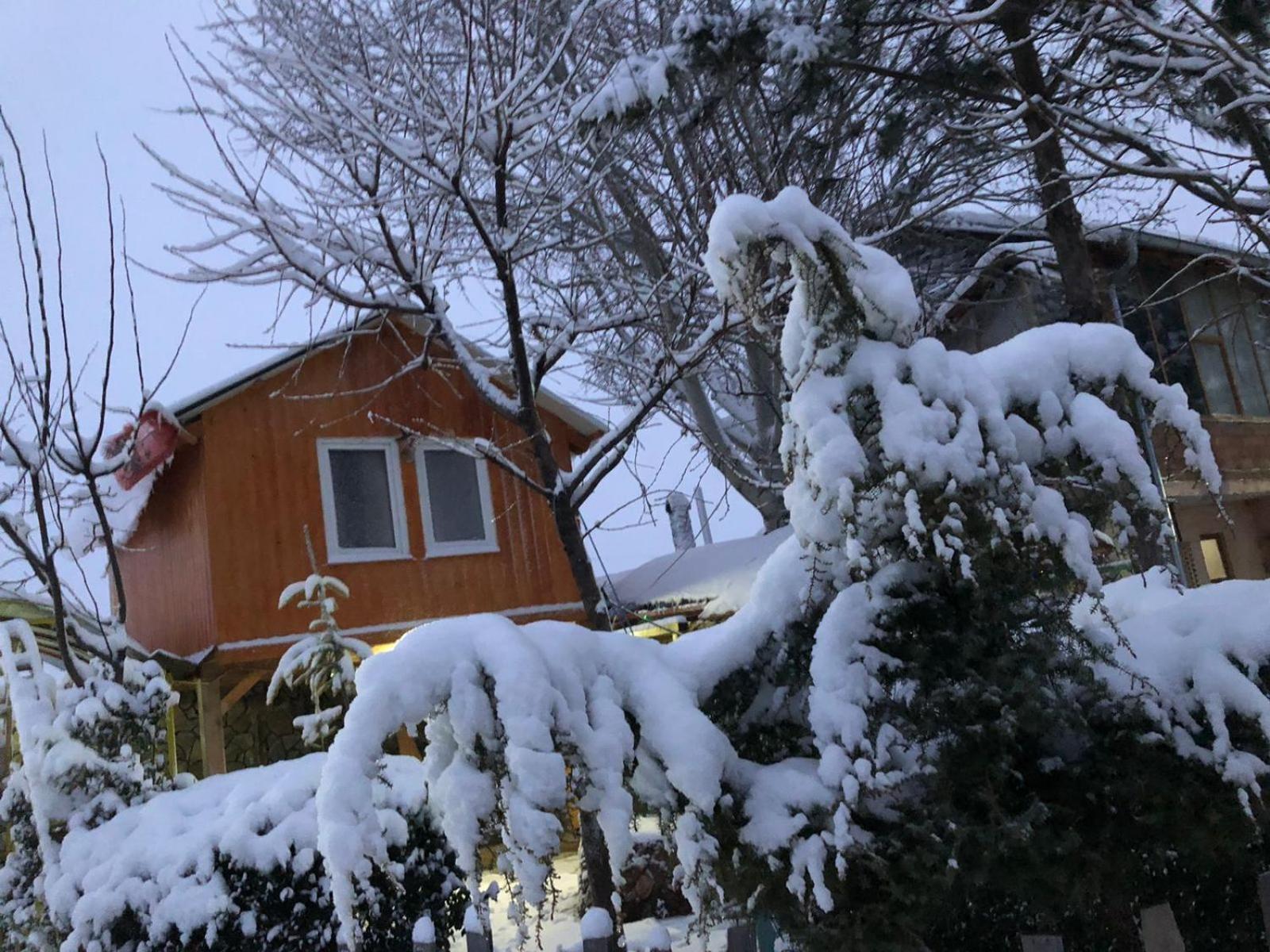 Bujtina Gashi Guest House Kukes Екстер'єр фото